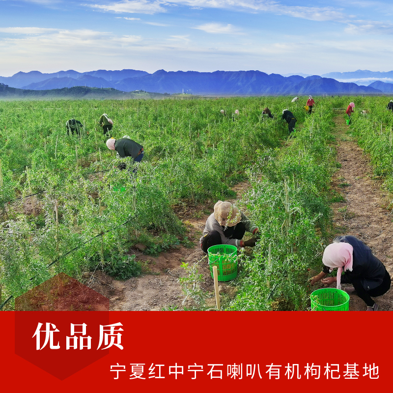 优游国际·UB8(中国游)集团官方网站